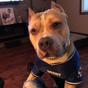 Meet your Posher, Freddy